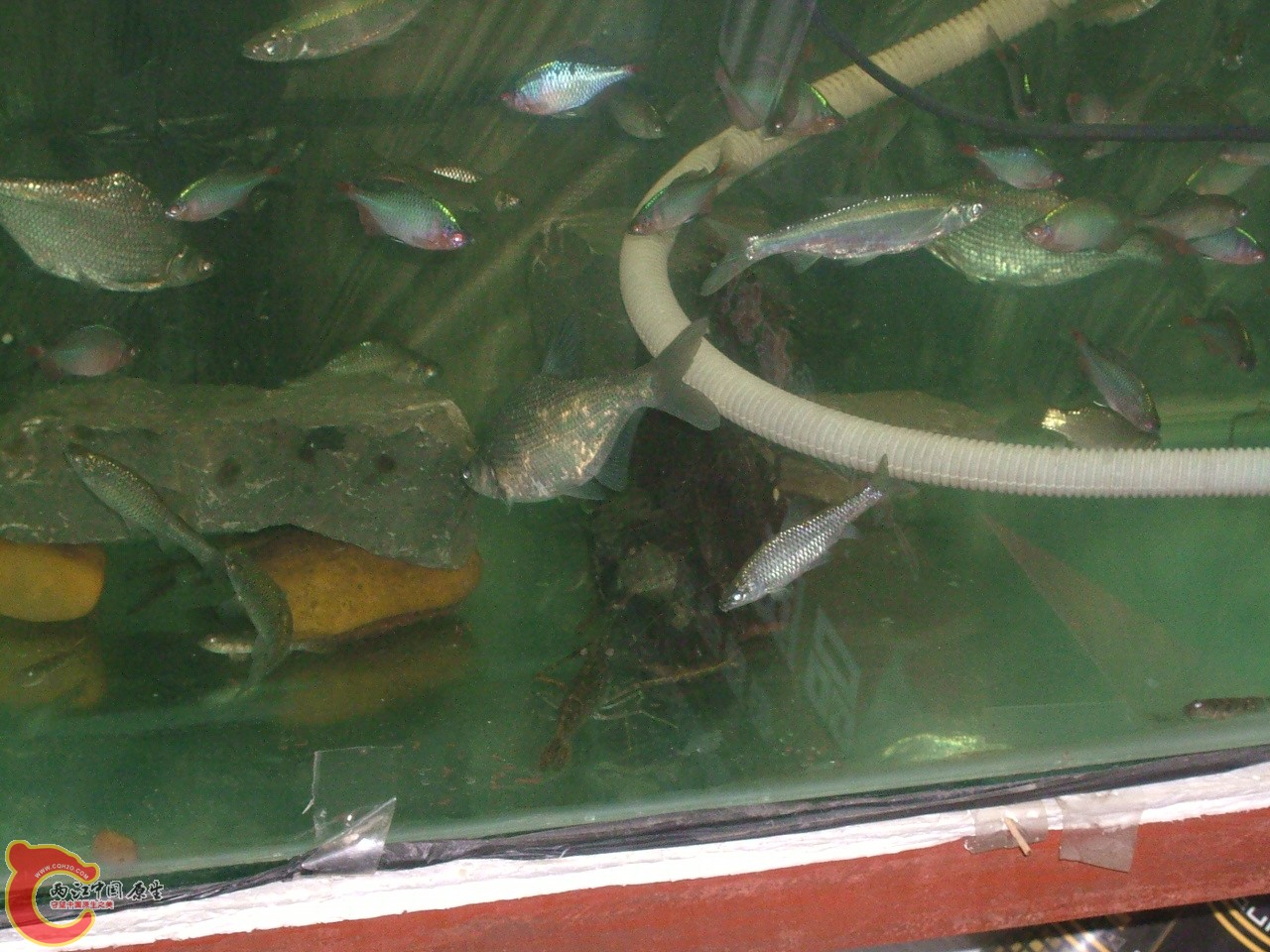 DSCF0405.JPG