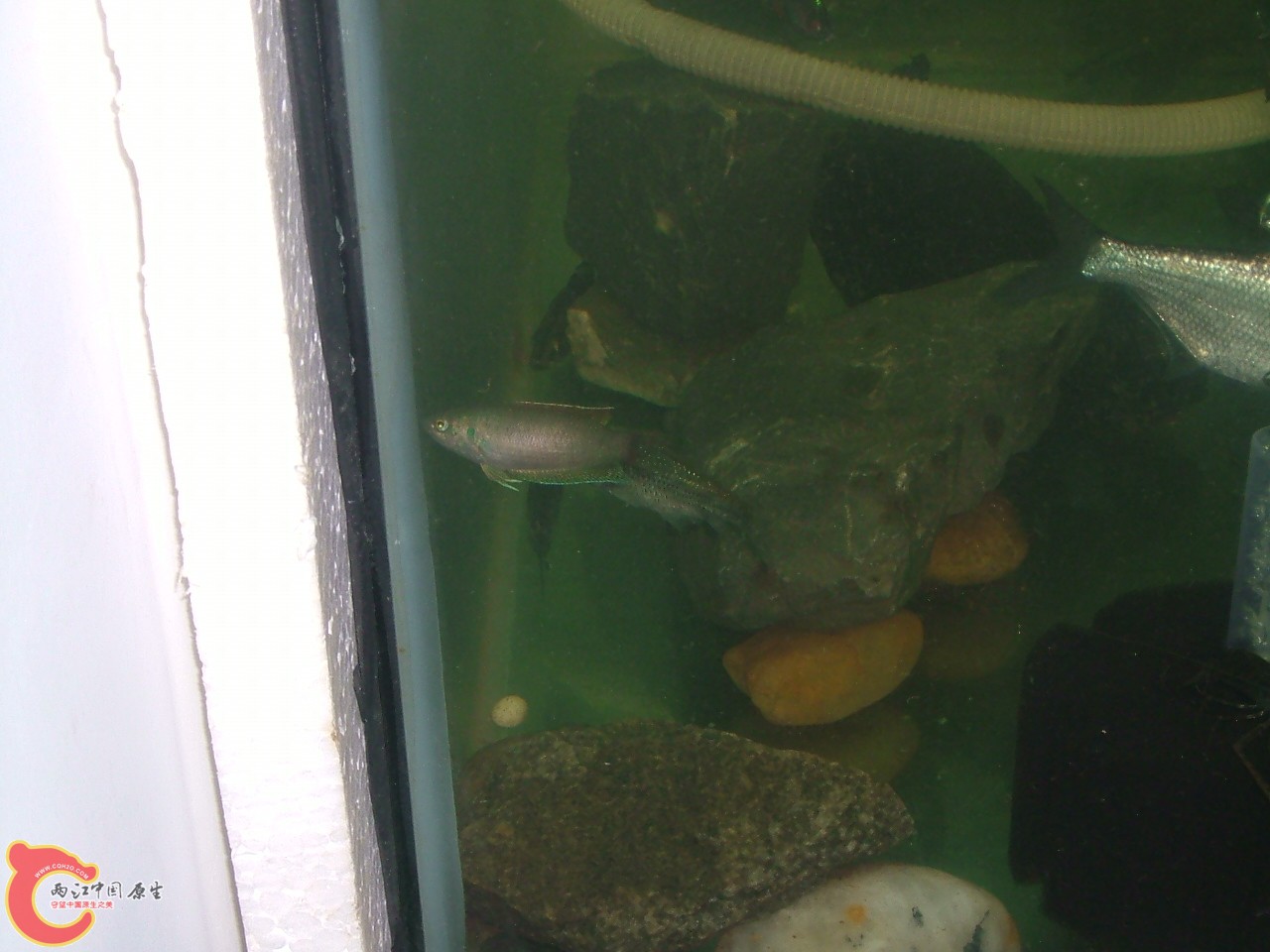 DSCF0412.JPG