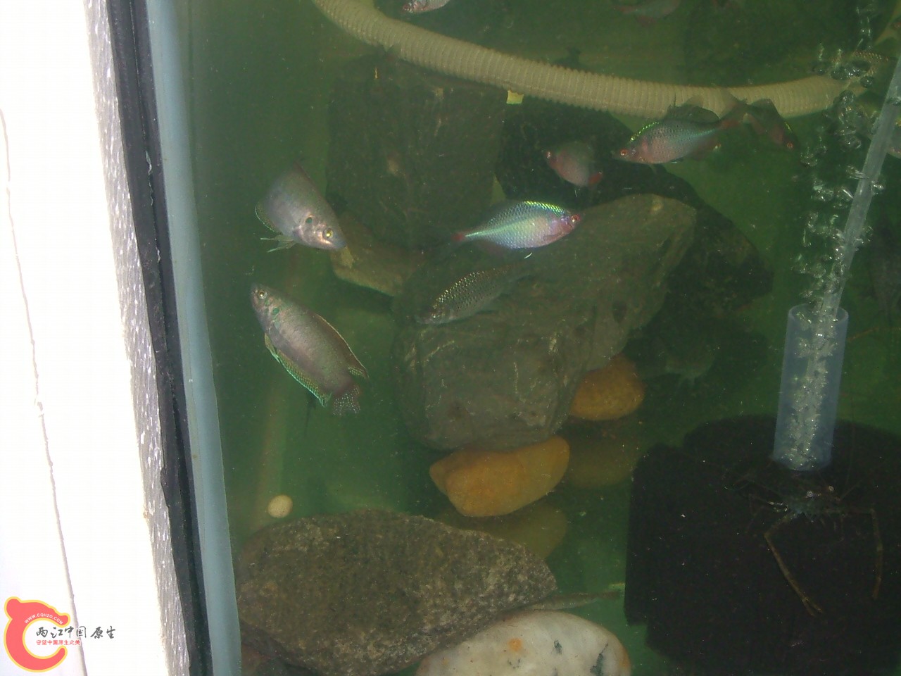 DSCF0413.JPG