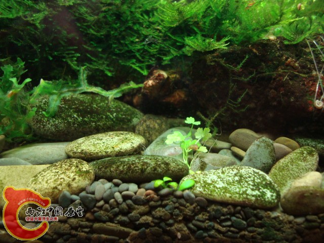 DSC04829.JPG