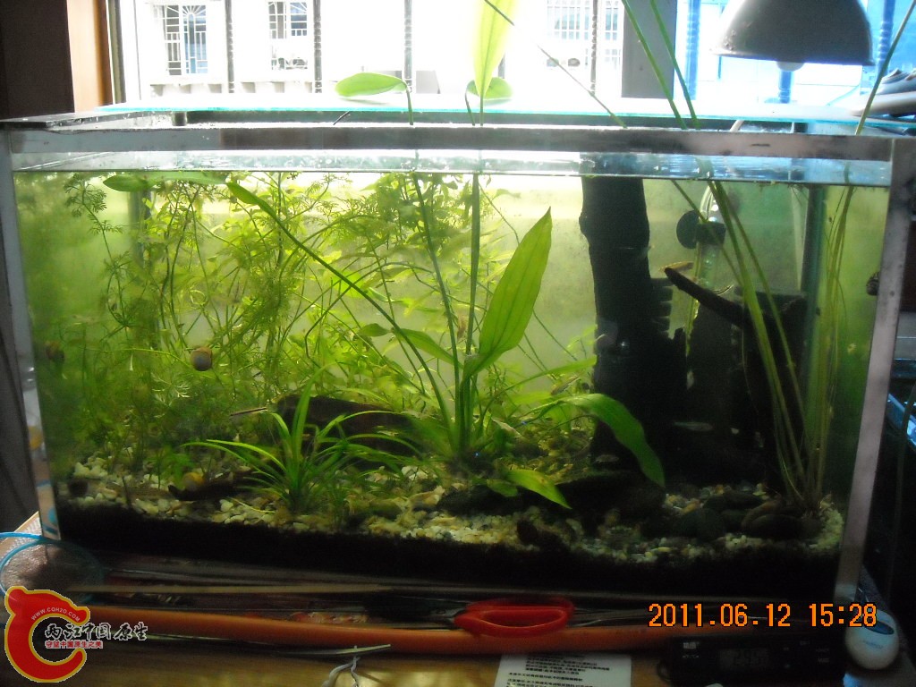DSCN5925.JPG