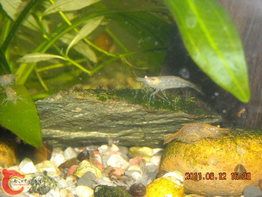 DSCN5927.JPG