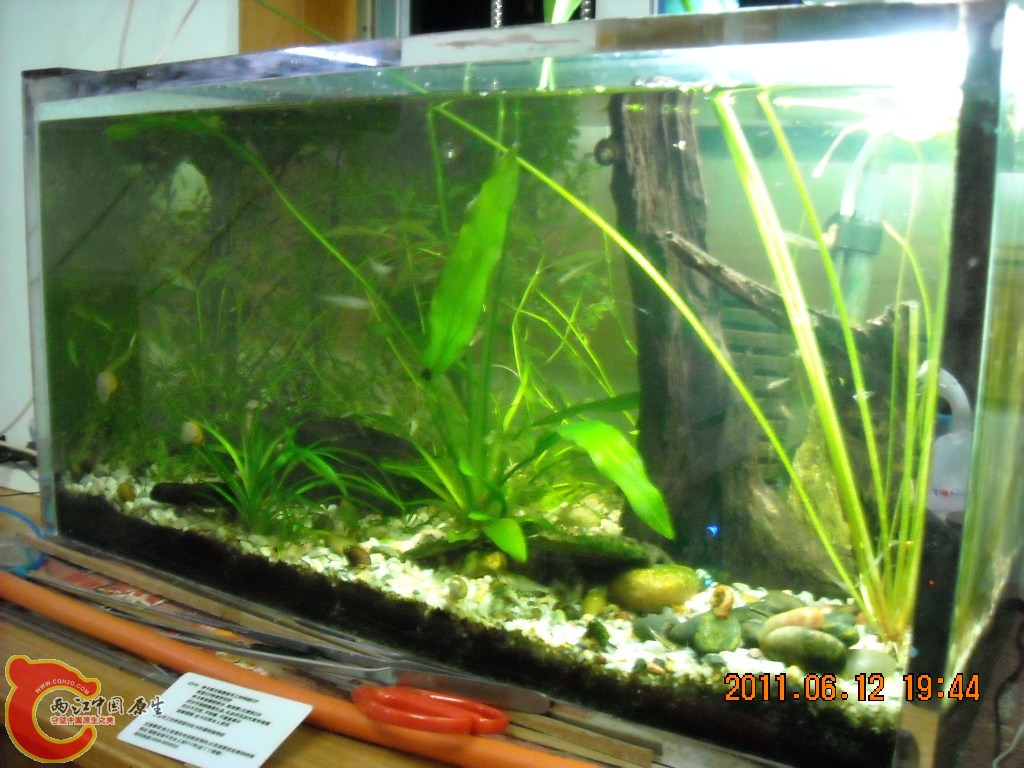DSCN5932.JPG