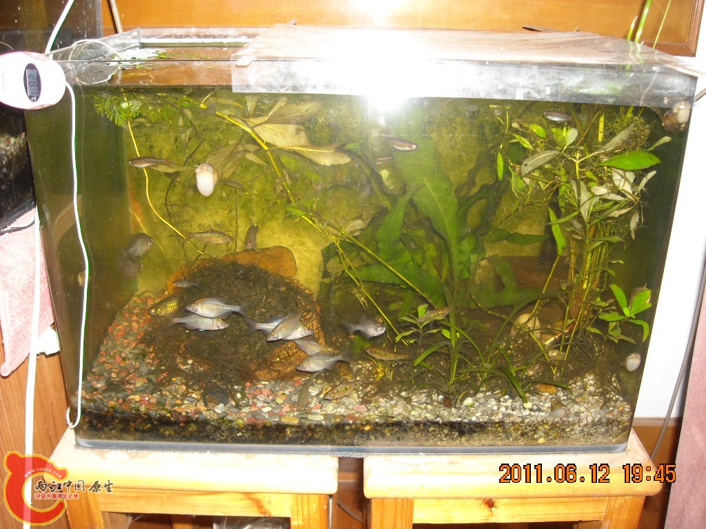 DSCN5936.JPG