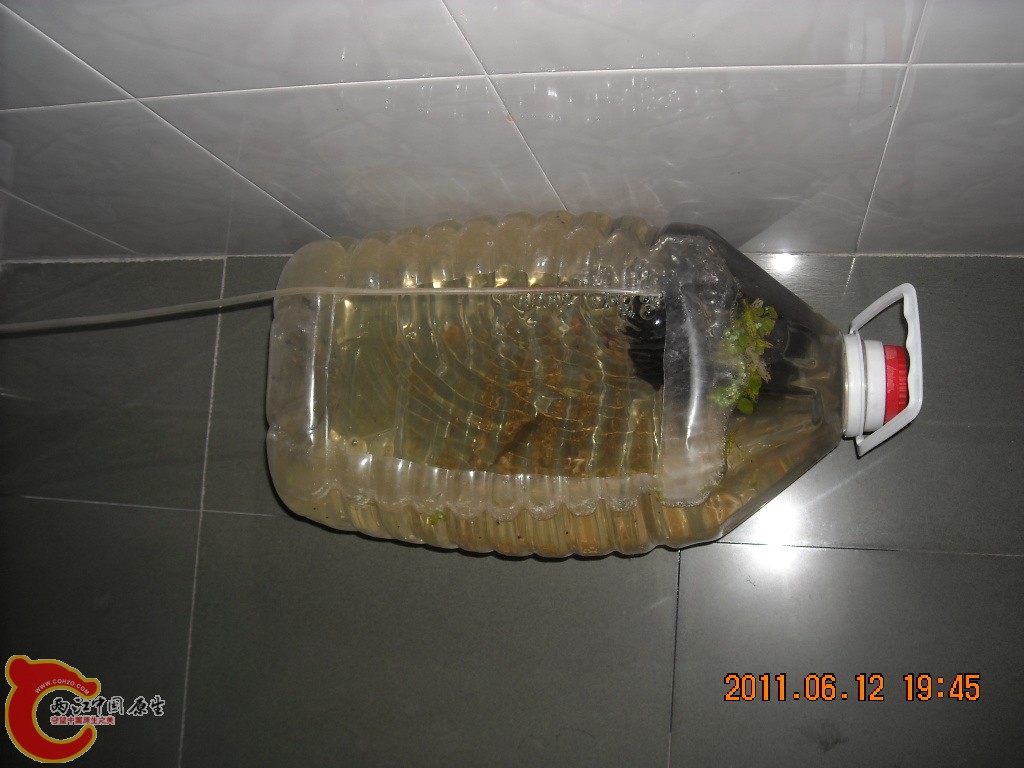DSCN5937.JPG