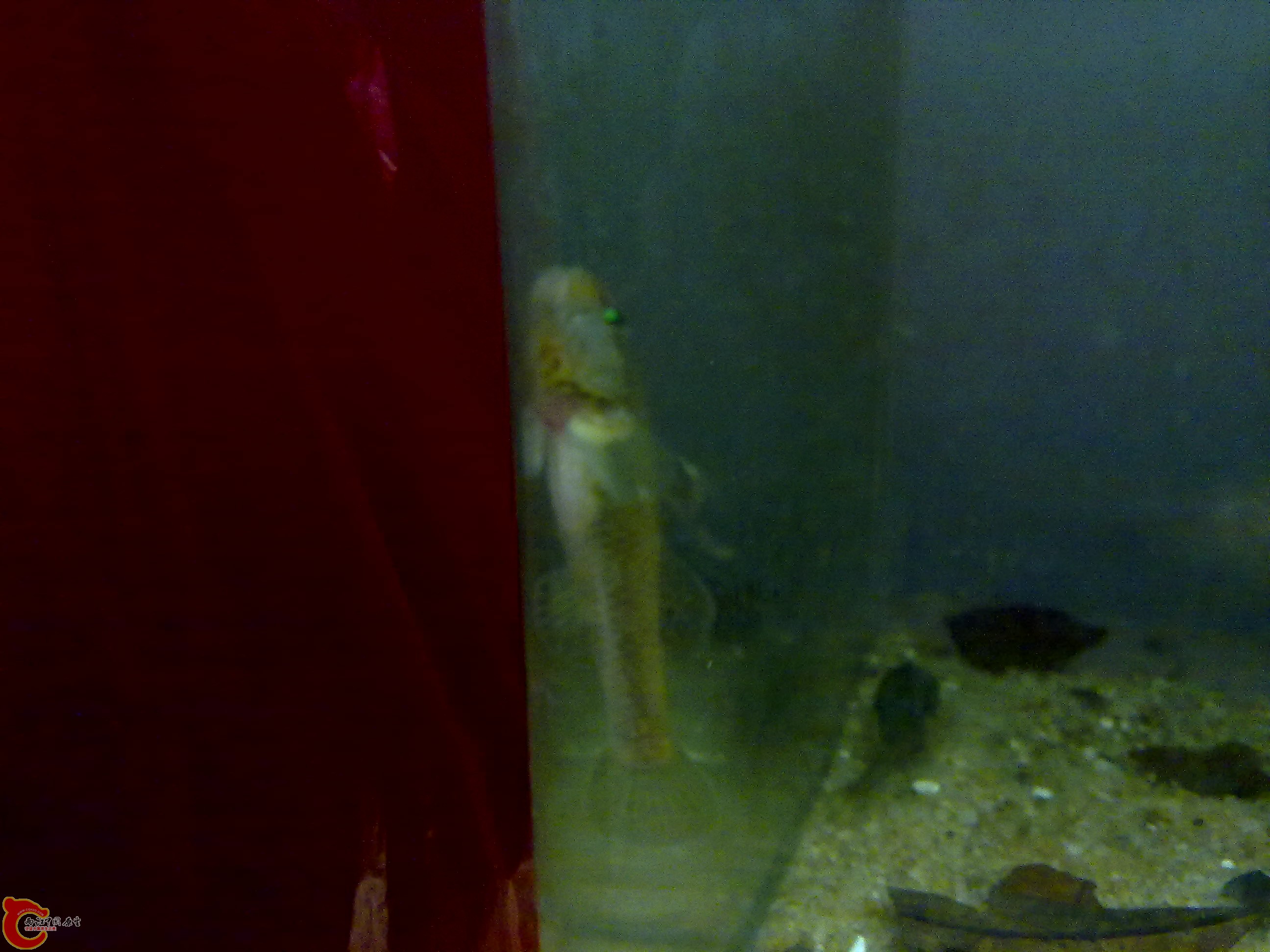 20110615588.jpg