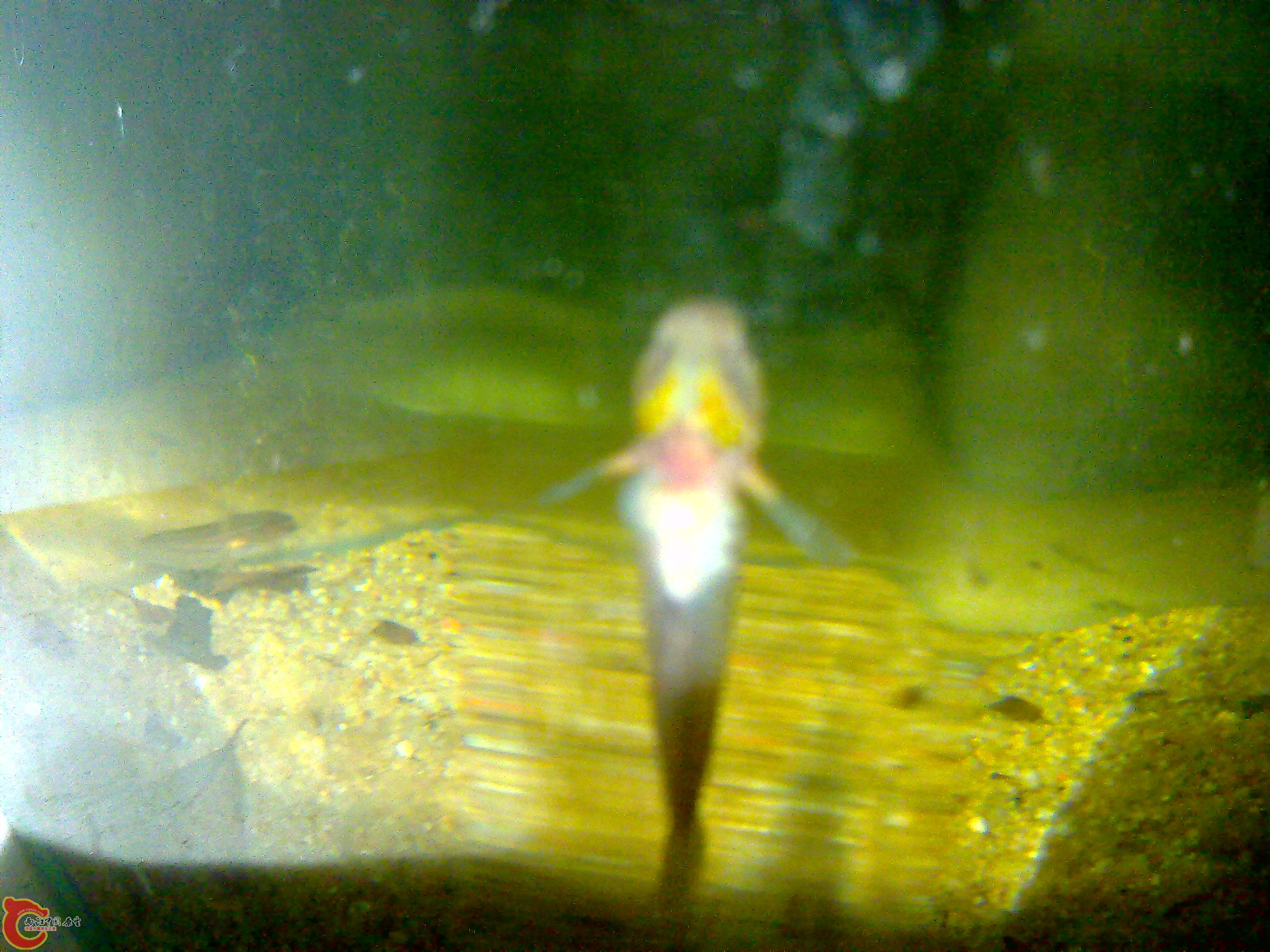 20110615592.jpg