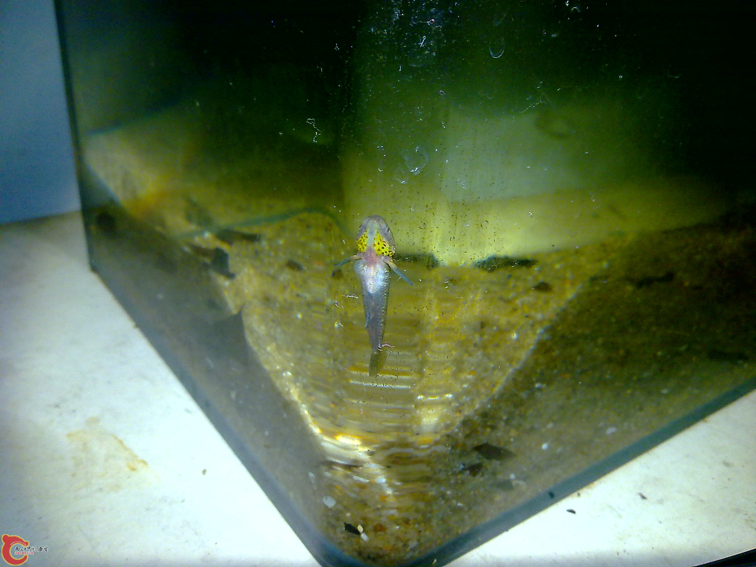 20110615593.jpg