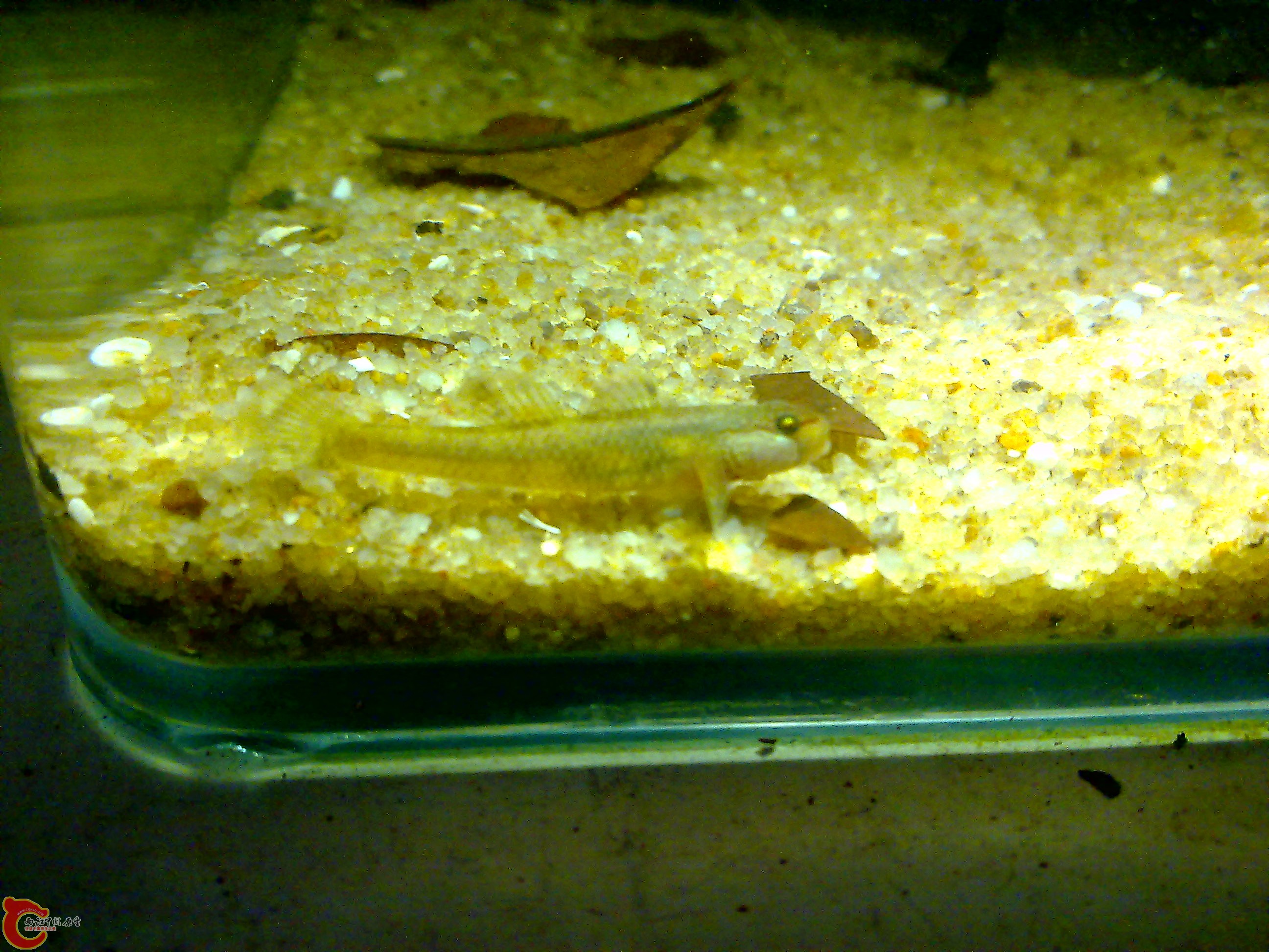 20110615596.jpg