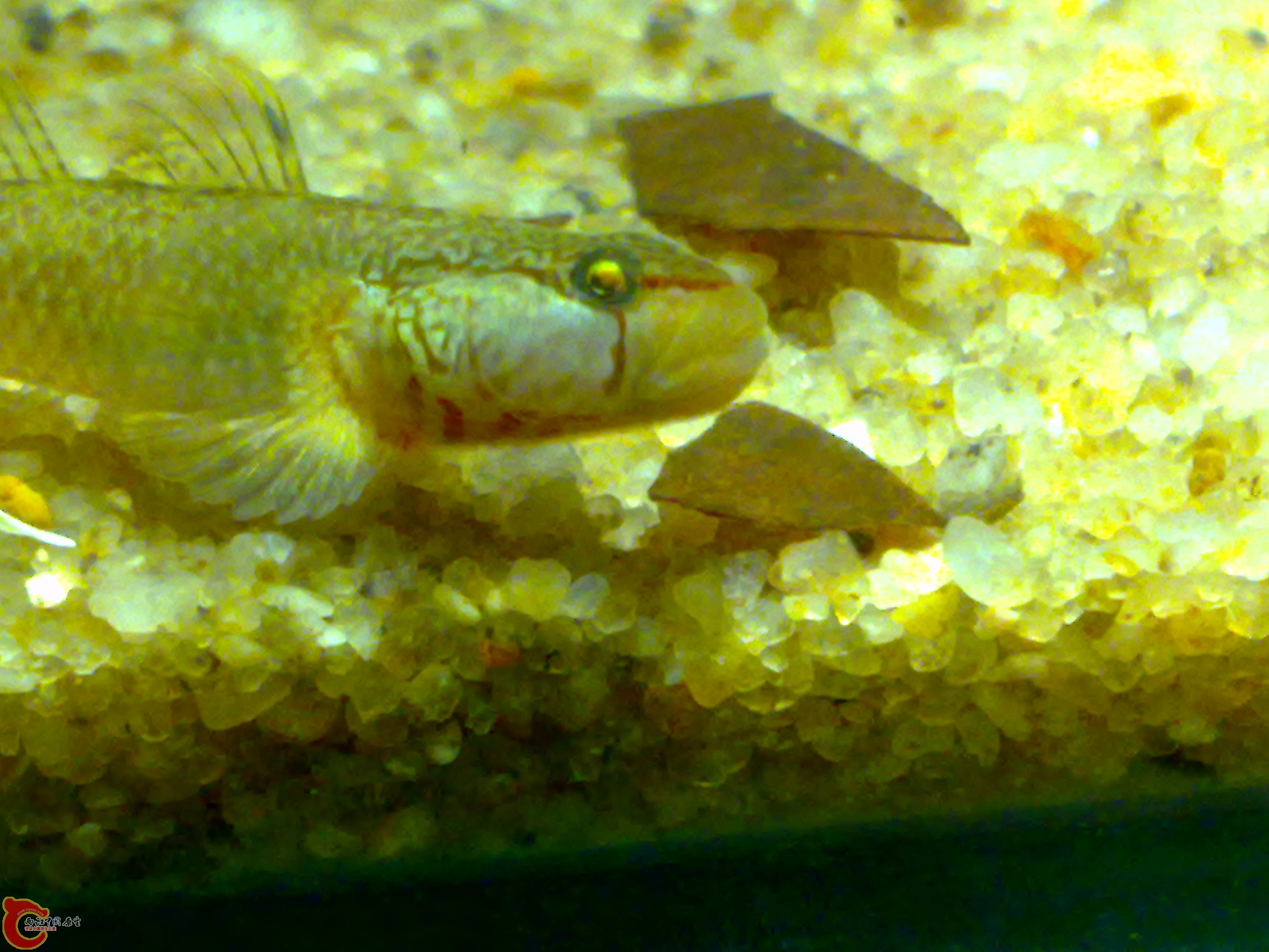 20110615600.jpg