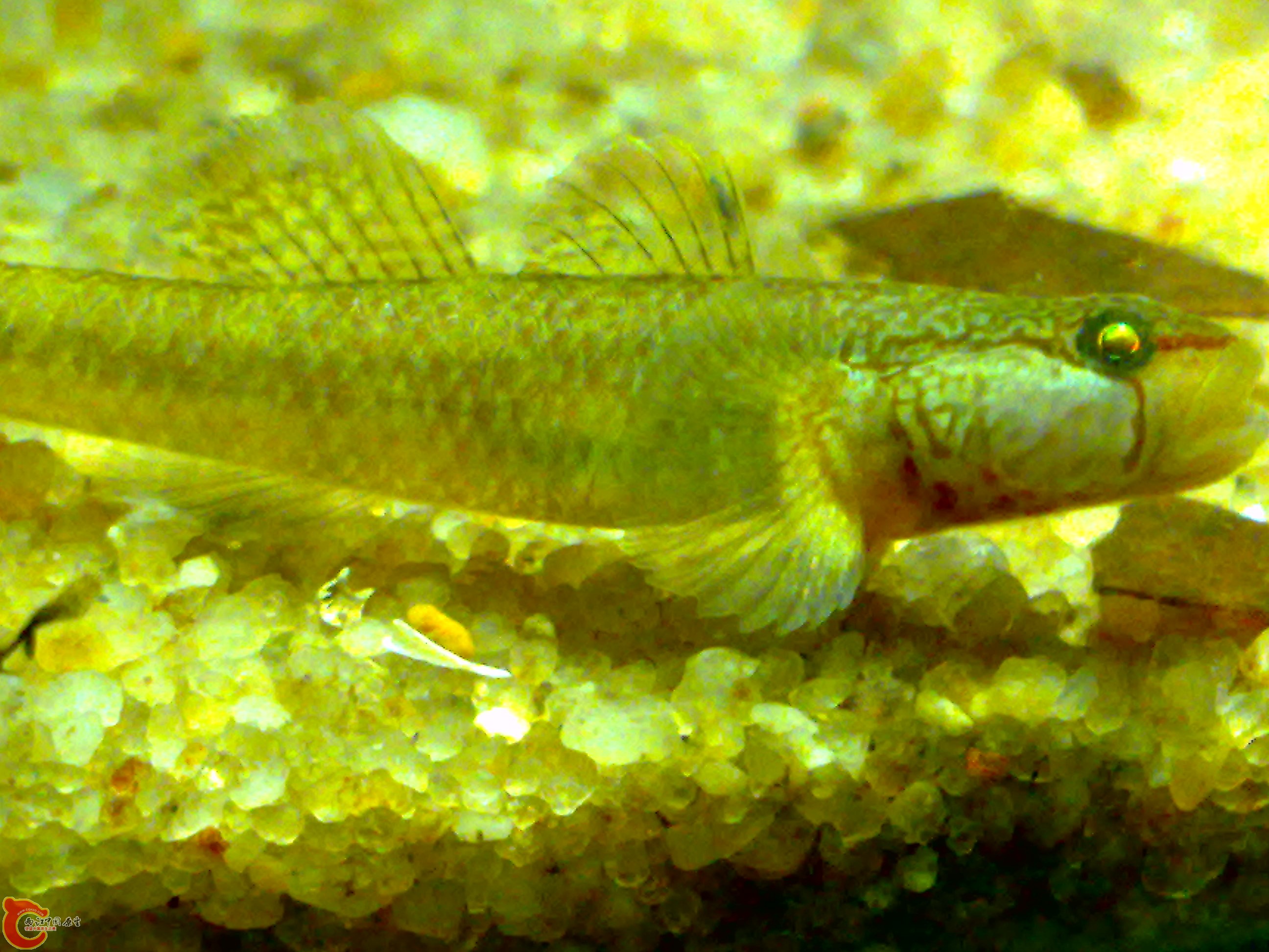 20110615601.jpg