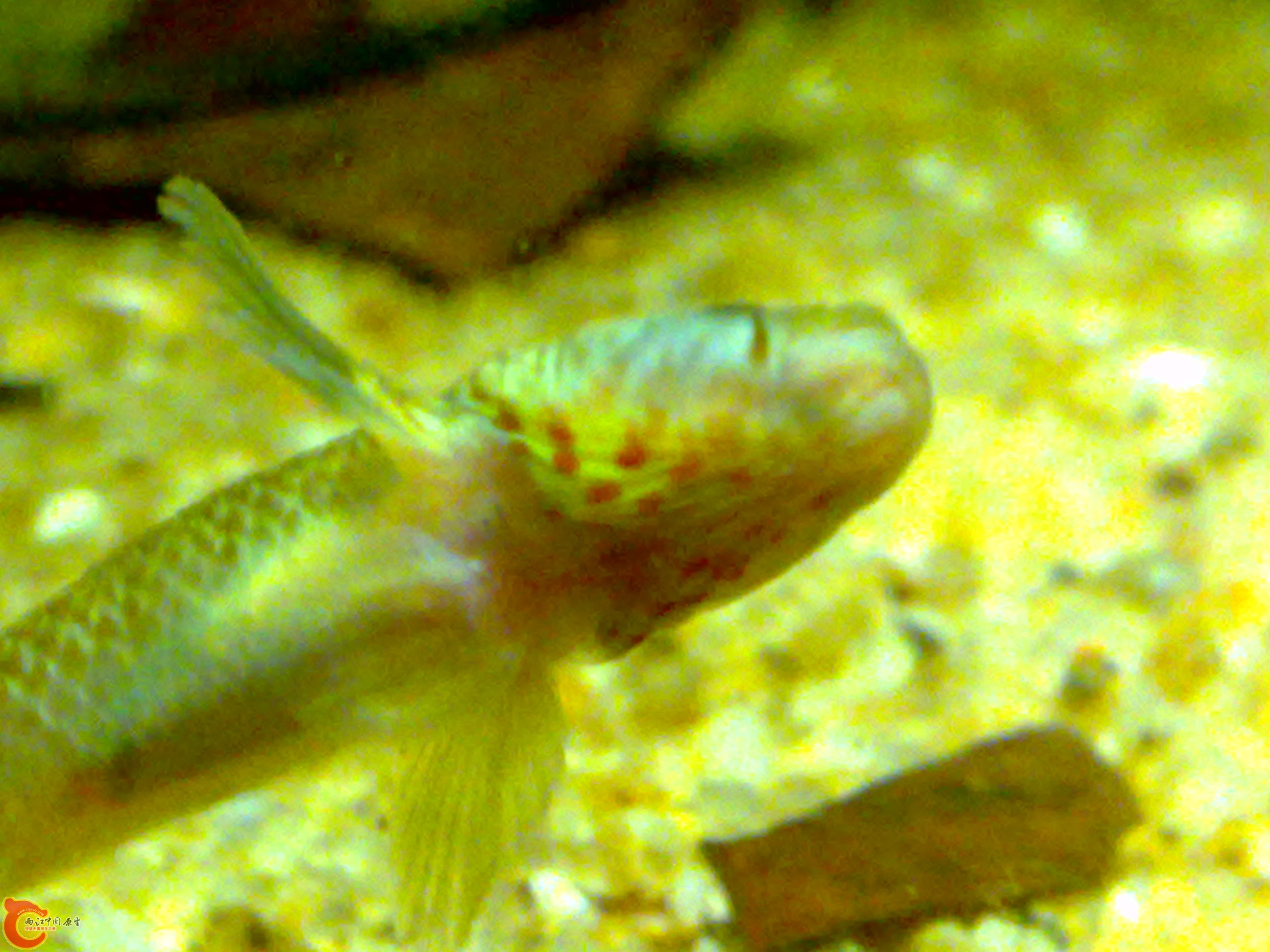 20110615603.jpg