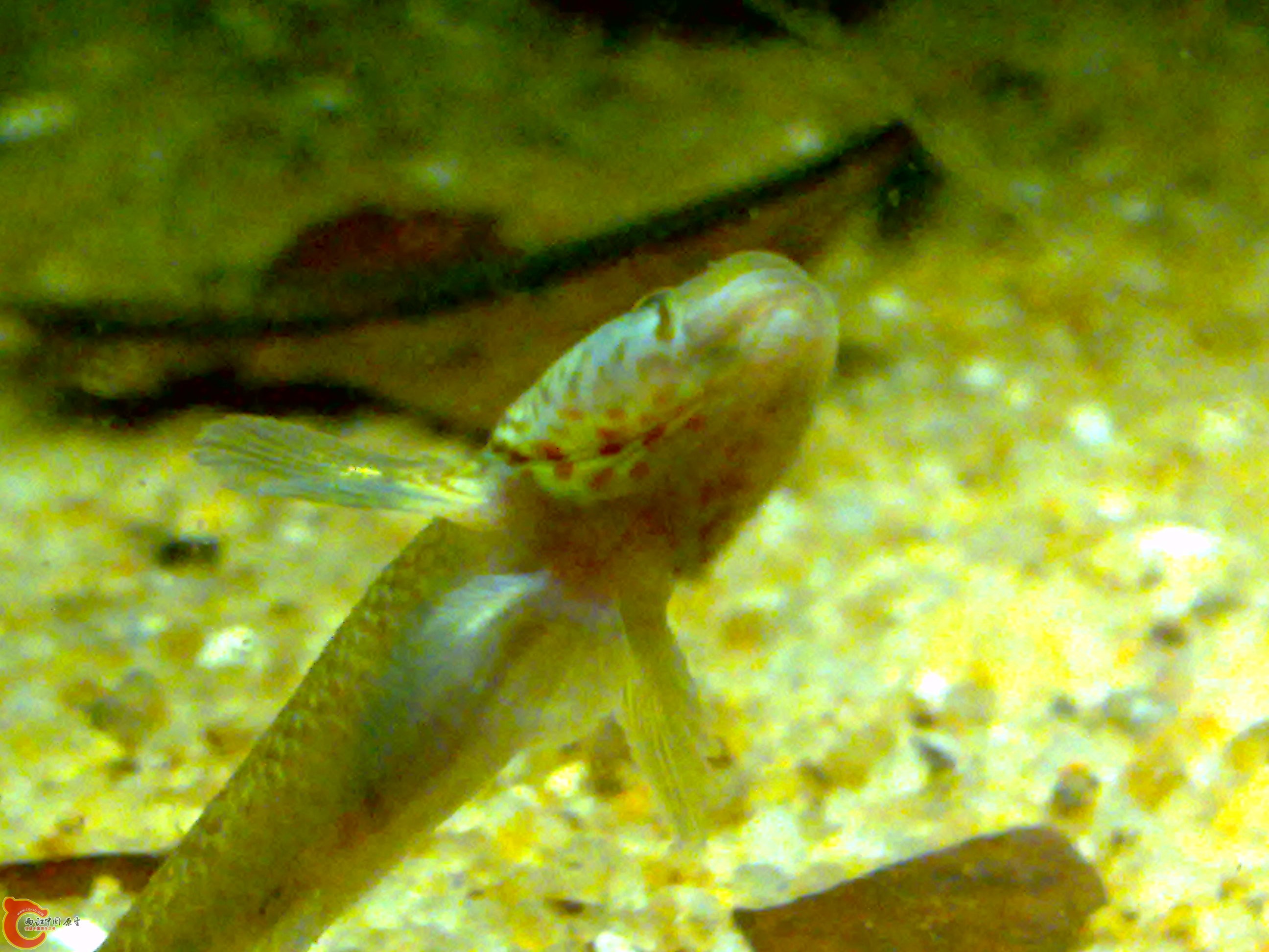 20110615606.jpg