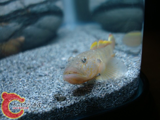 DSC01087.JPG