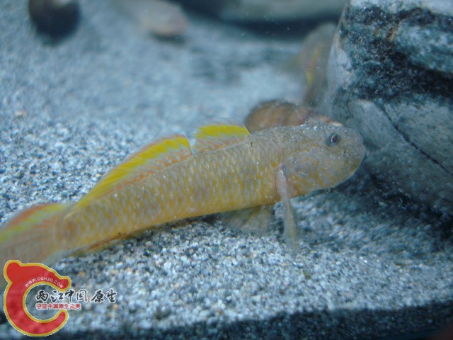 DSC01090.JPG