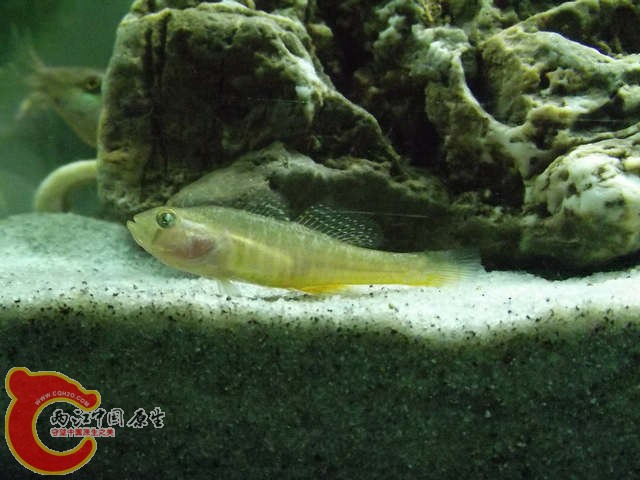 DSCF4848.jpg