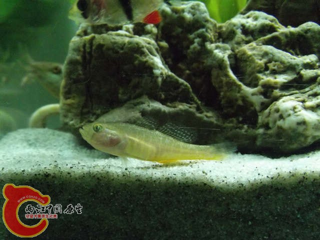 DSCF4849.jpg