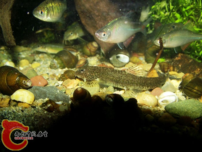 DSCF5043.jpg