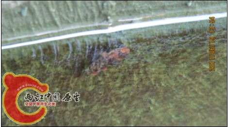 %9_5NJBE%L@[EP[G74$0Q(P.jpg