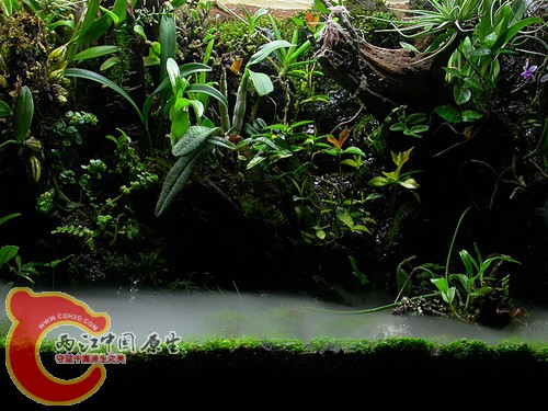 全景-2011.06.19.jpg