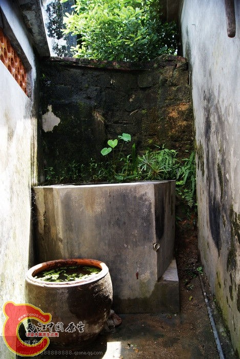 01.jpg