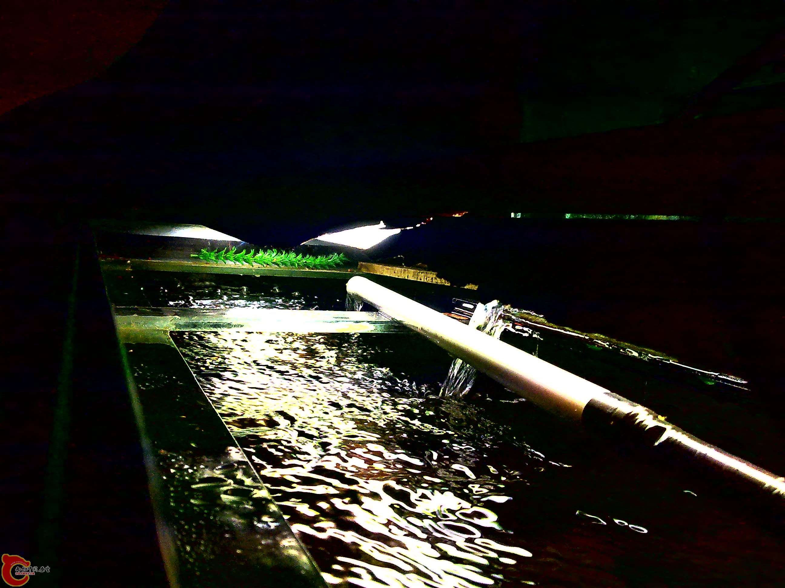 20110623253.jpg