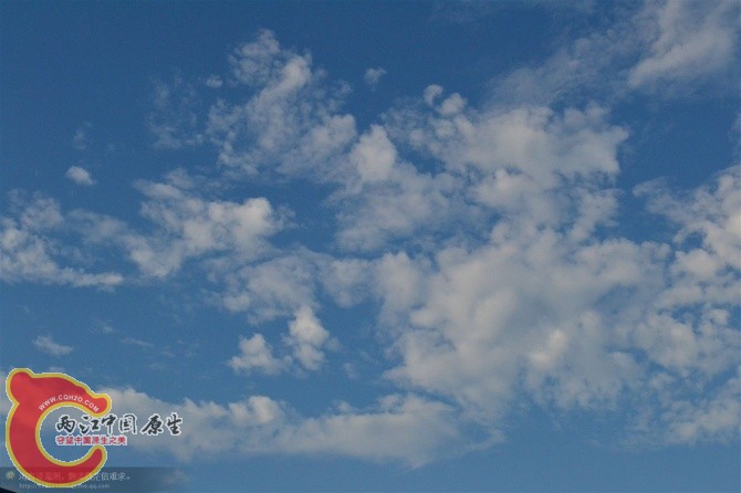 http_imgloadCA7GRB83.jpg