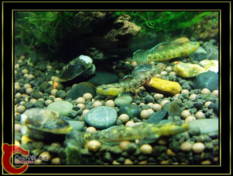 DSCF5387.jpg