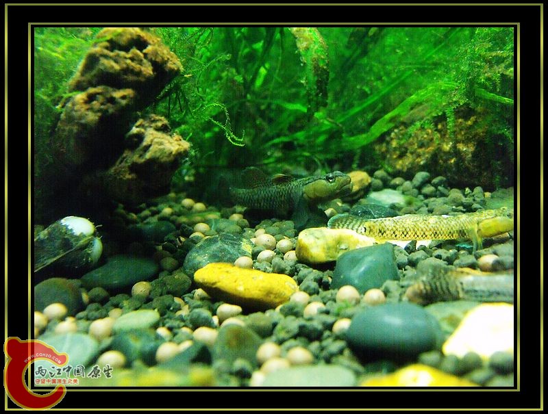 DSCF5393.jpg