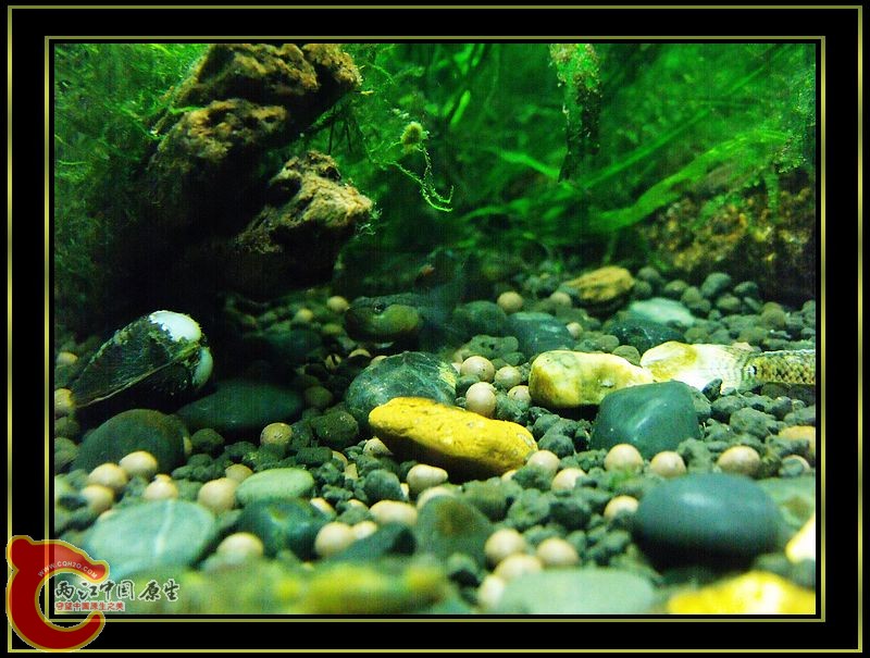 DSCF5394.jpg