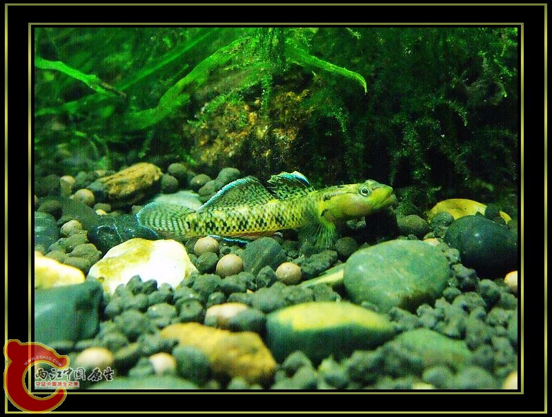DSCF5403.jpg