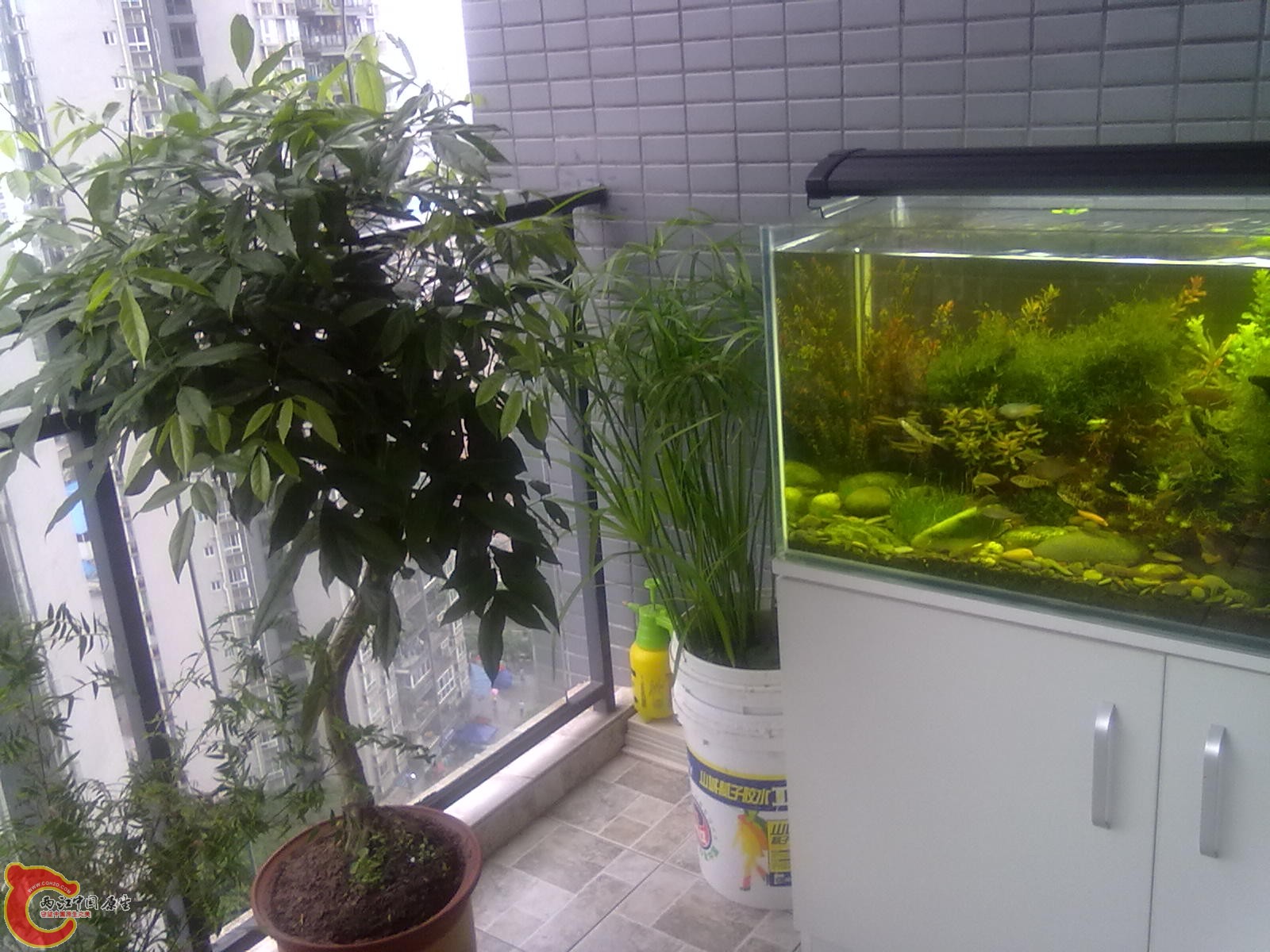 201106221660.jpg