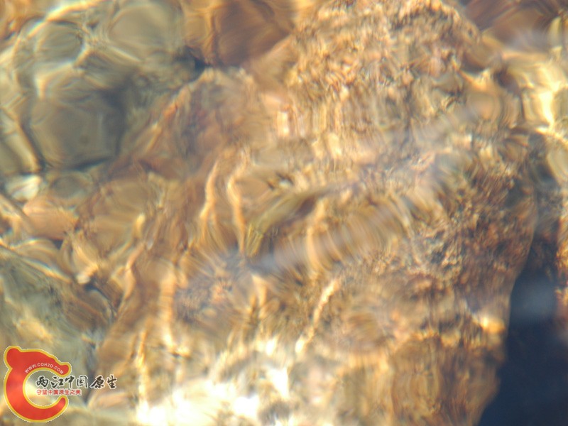 DSC_8029.jpg