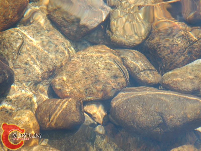 DSC_8028.jpg