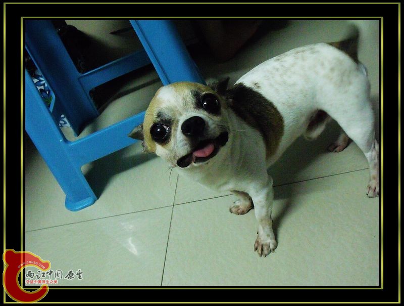 DSCF5258.jpg