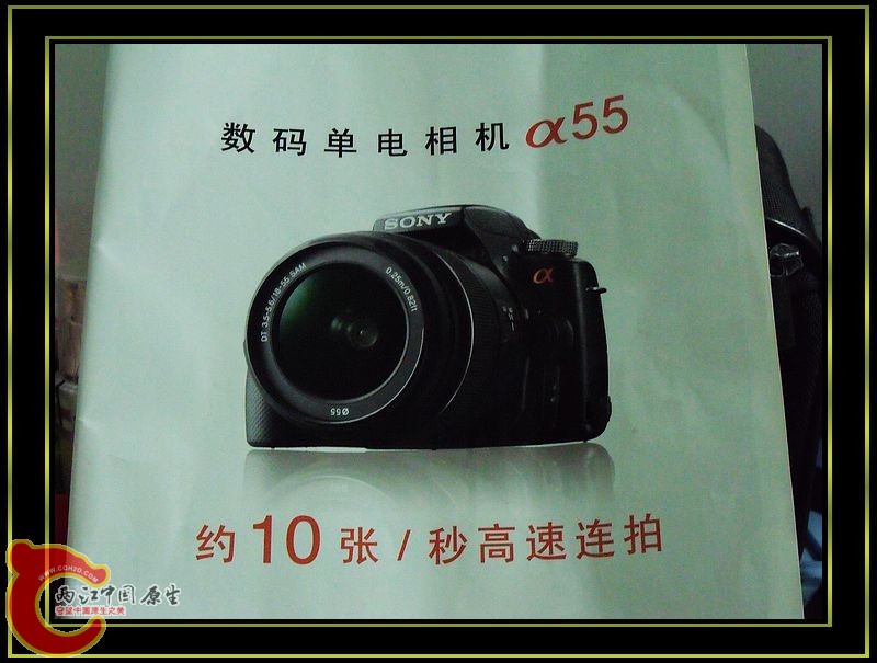 DSCF5268.jpg