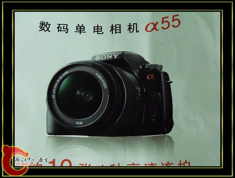 DSCF5269.jpg