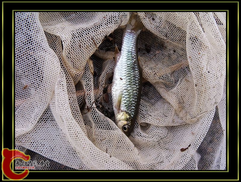 DSCF5290.jpg