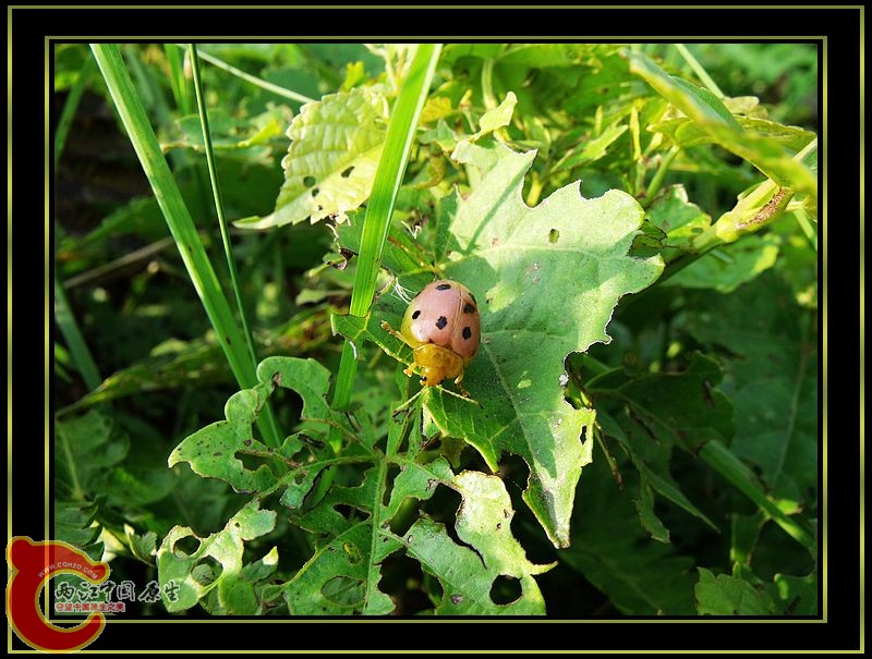 DSCF5316.jpg