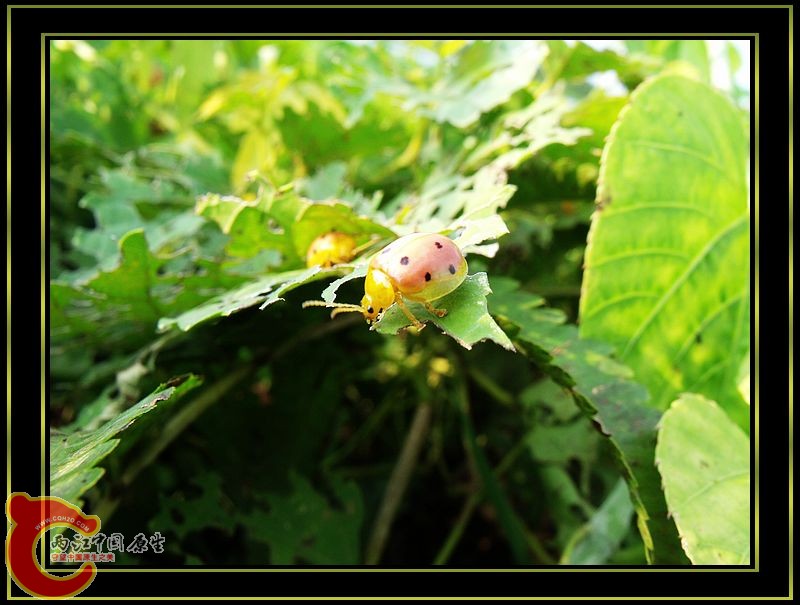 DSCF5324.jpg