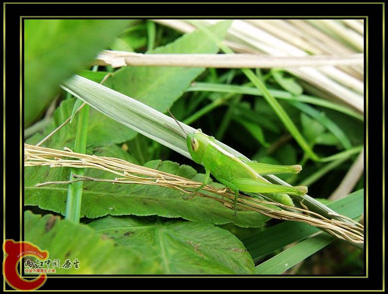 DSCF5327.jpg