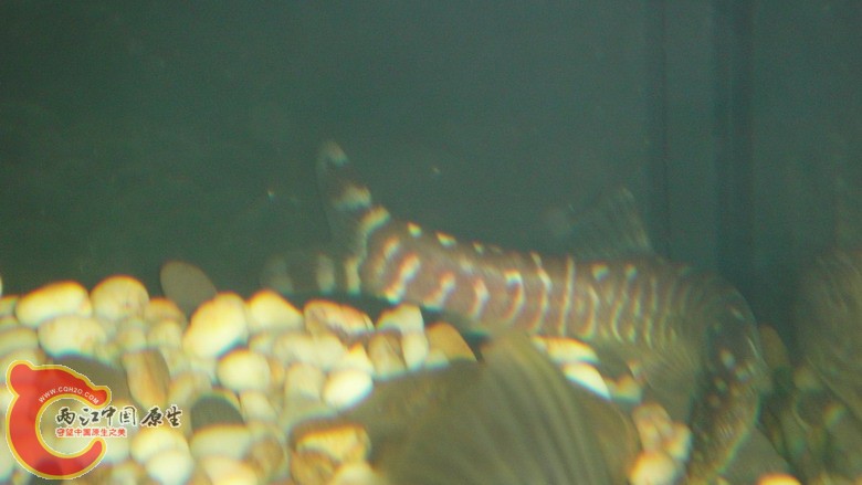 DSC05890_缩小大小.JPG