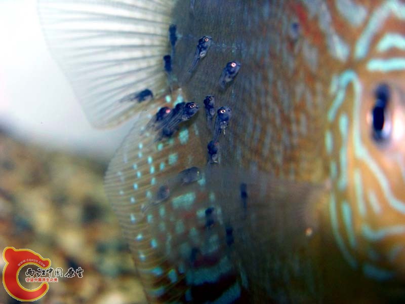 20110713.jpg