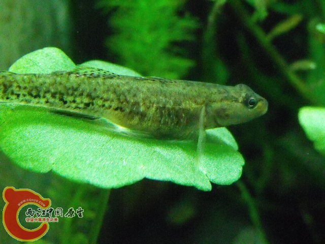 照片 043.jpg