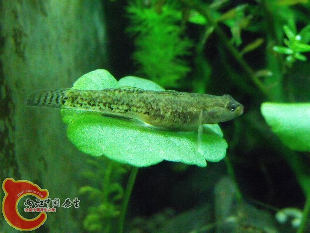 照片 044.jpg