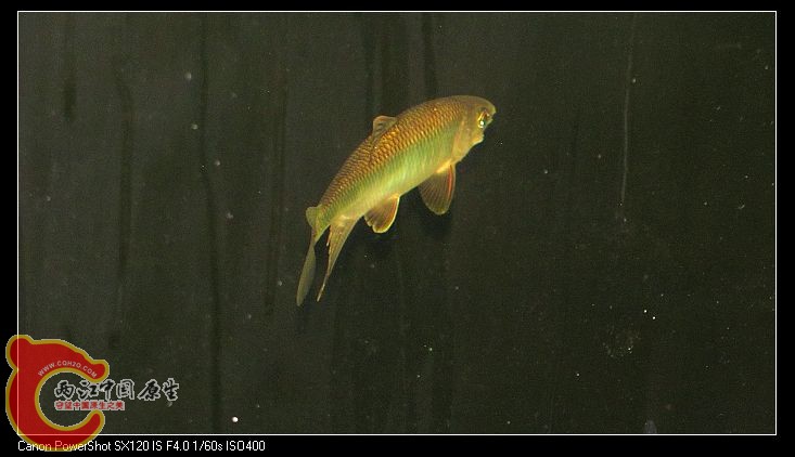 IMG_4982.JPG