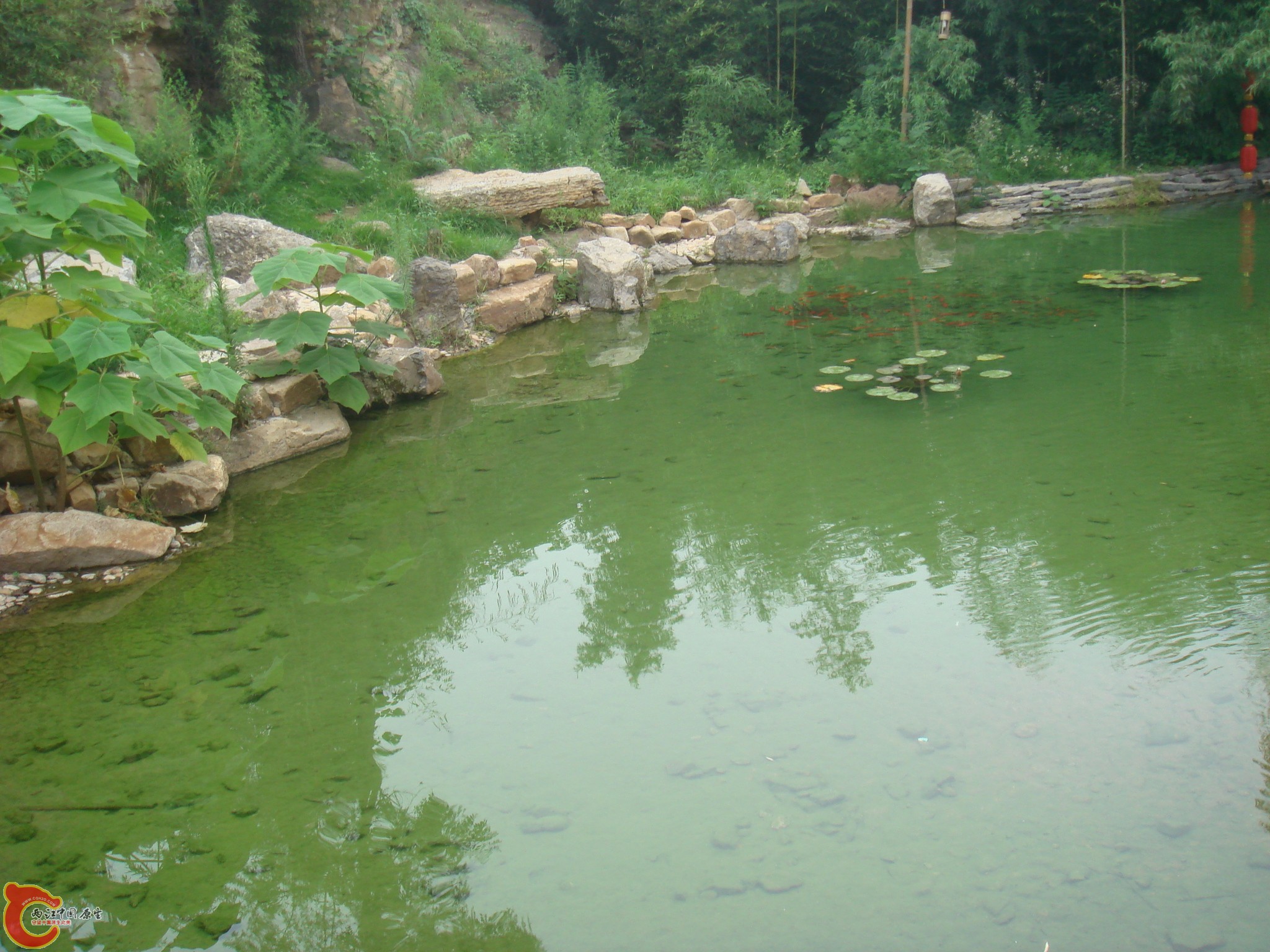 DSC07002.JPG
