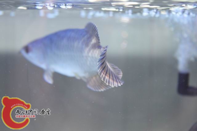 调整大小 IMG_9234.jpg