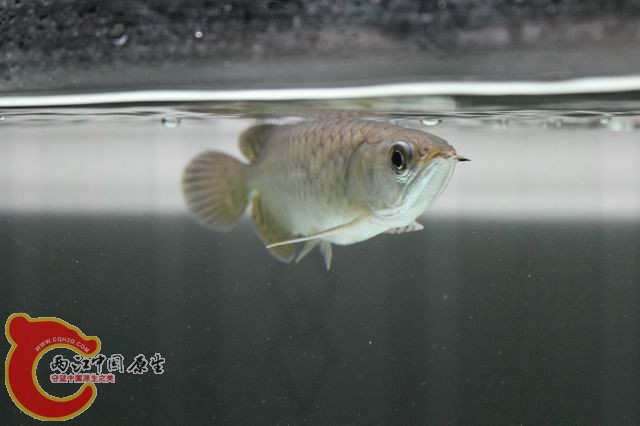 调整大小 IMG_9030.jpg