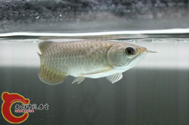 调整大小 IMG_9031.jpg